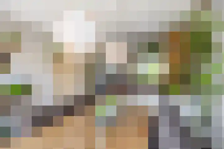 Zetter 4 Delfzijl thumbnail 11