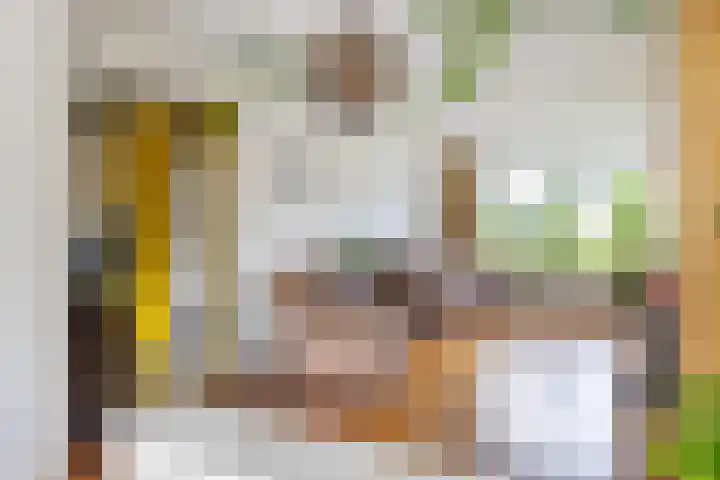 Zetter 4 Delfzijl thumbnail 12