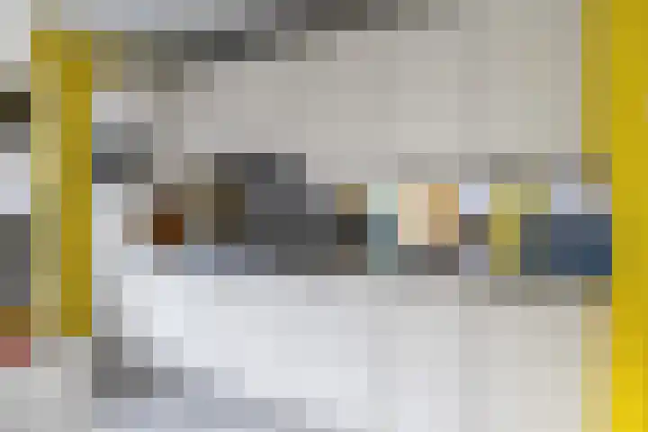 Zetter 4 Delfzijl thumbnail 15