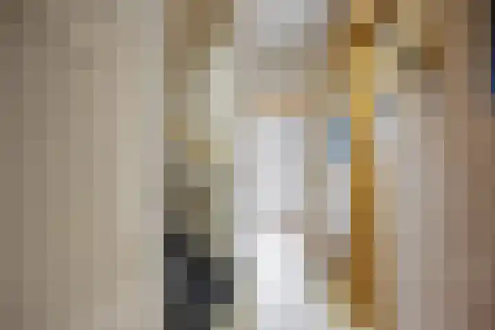 Zetter 4 Delfzijl thumbnail 20