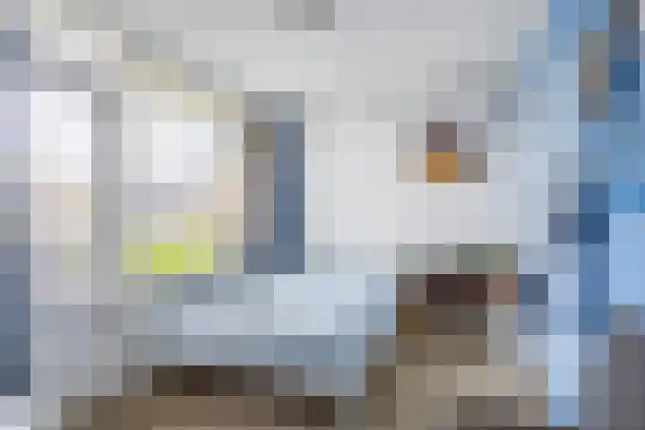 Zetter 4 Delfzijl thumbnail 25