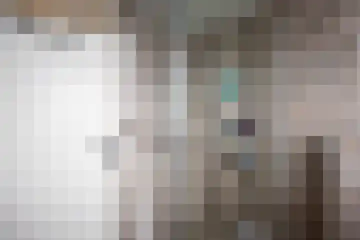 Zetter 4 Delfzijl thumbnail 31