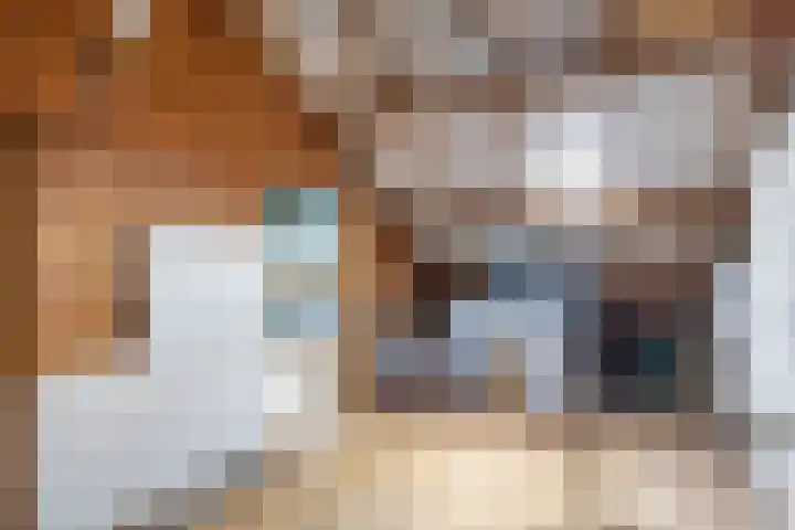 Zetter 4 Delfzijl thumbnail 33