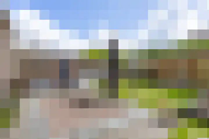 Zetter 4 Delfzijl thumbnail 37