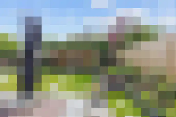 Zetter 4 Delfzijl thumbnail 38