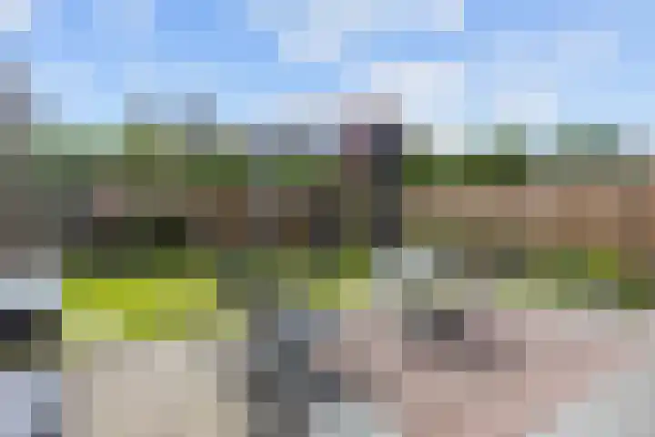 Zetter 4 Delfzijl thumbnail 39