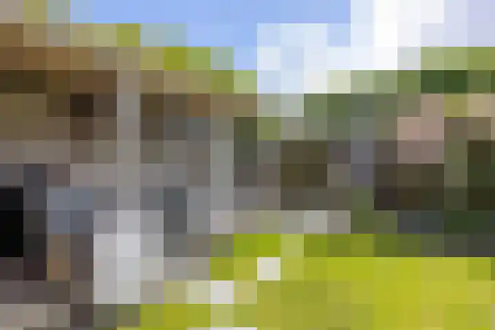 Zetter 4 Delfzijl thumbnail 40