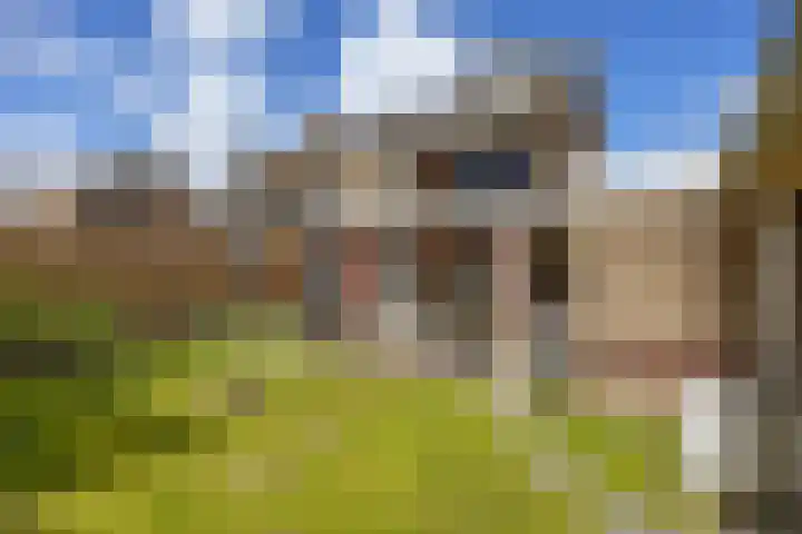 Zetter 4 Delfzijl thumbnail 41