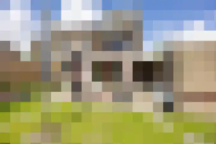 Zetter 4 Delfzijl thumbnail 42