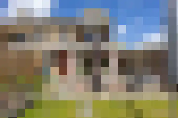 Zetter 4 Delfzijl thumbnail 43