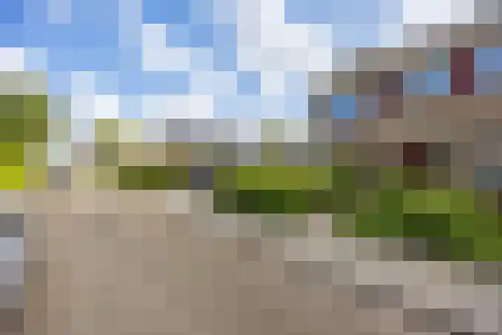 Zetter 4 Delfzijl thumbnail 47