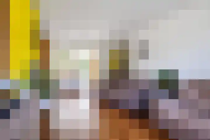 Zetter 4 Delfzijl thumbnail 5