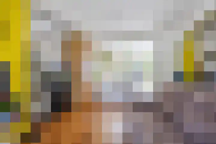 Zetter 4 Delfzijl thumbnail 6