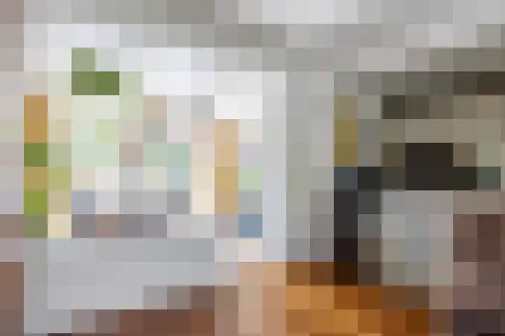Zetter 4 Delfzijl thumbnail 8