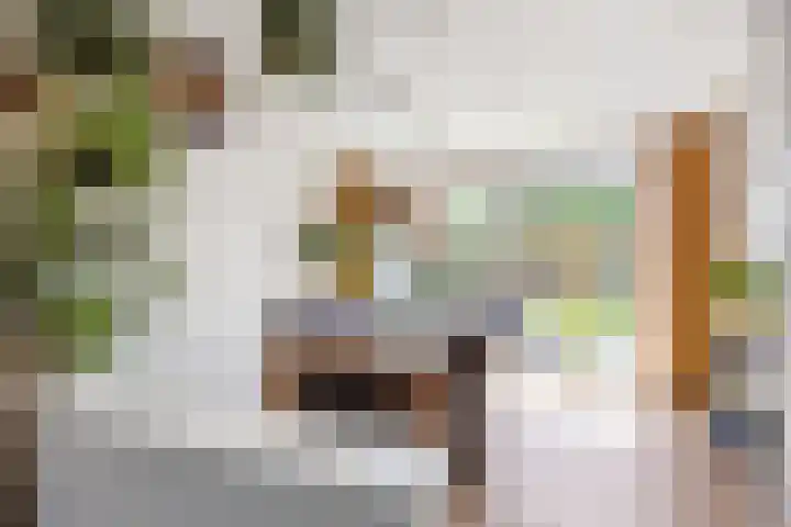 Zetter 4 Delfzijl thumbnail 9