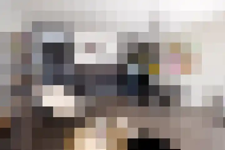 Zetveld 10 Schoonoord thumbnail 10