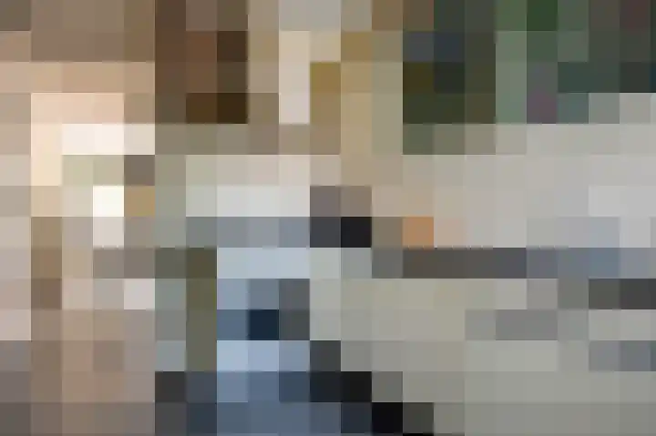 Zetveld 10 Schoonoord thumbnail 12