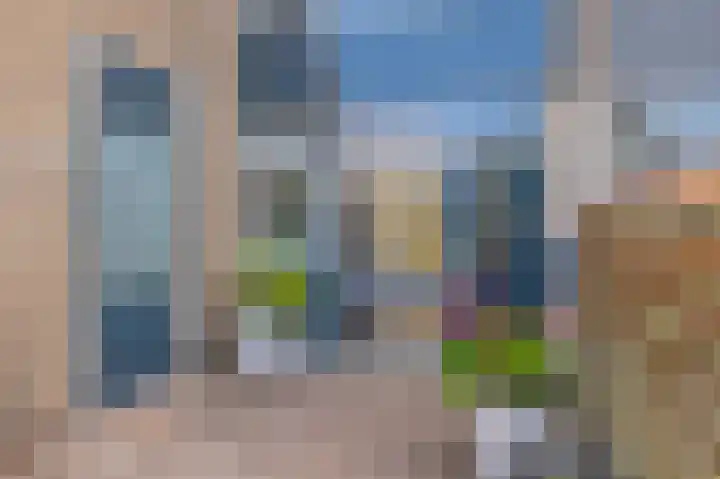 Zetveld 10 Schoonoord thumbnail 6