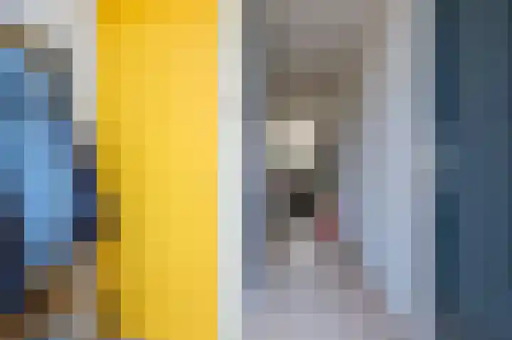 Zetveld 10 Schoonoord thumbnail 7