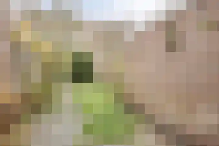 Zetveld 103 Heerenveen thumbnail 20