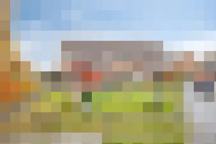Zetveld 103 Heerenveen thumbnail 21