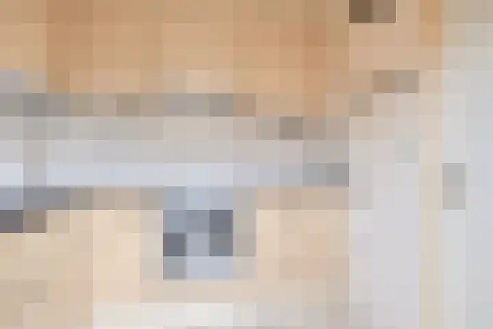 Zetveld 103 Heerenveen thumbnail 8