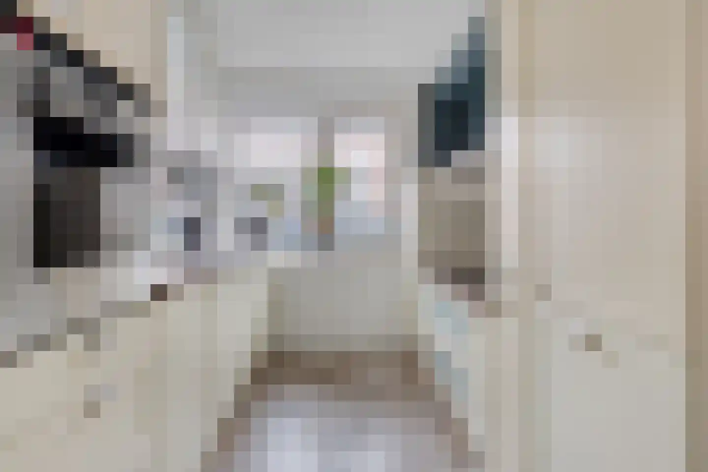 Zetveld 11 Nootdorp thumbnail 16