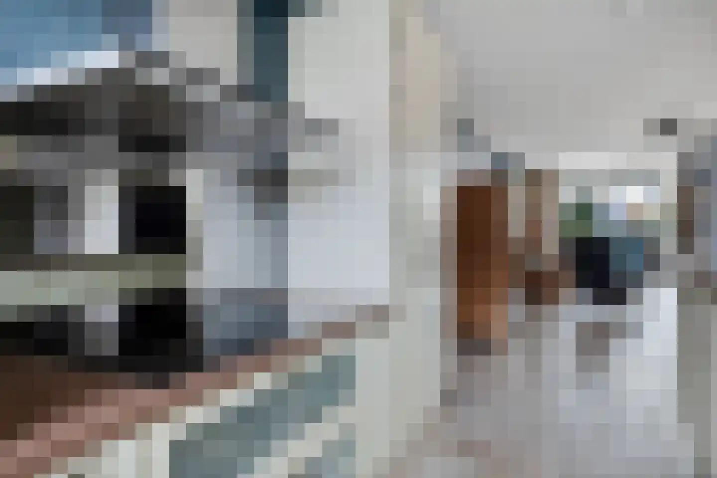 Zetveld 11 Nootdorp thumbnail 17