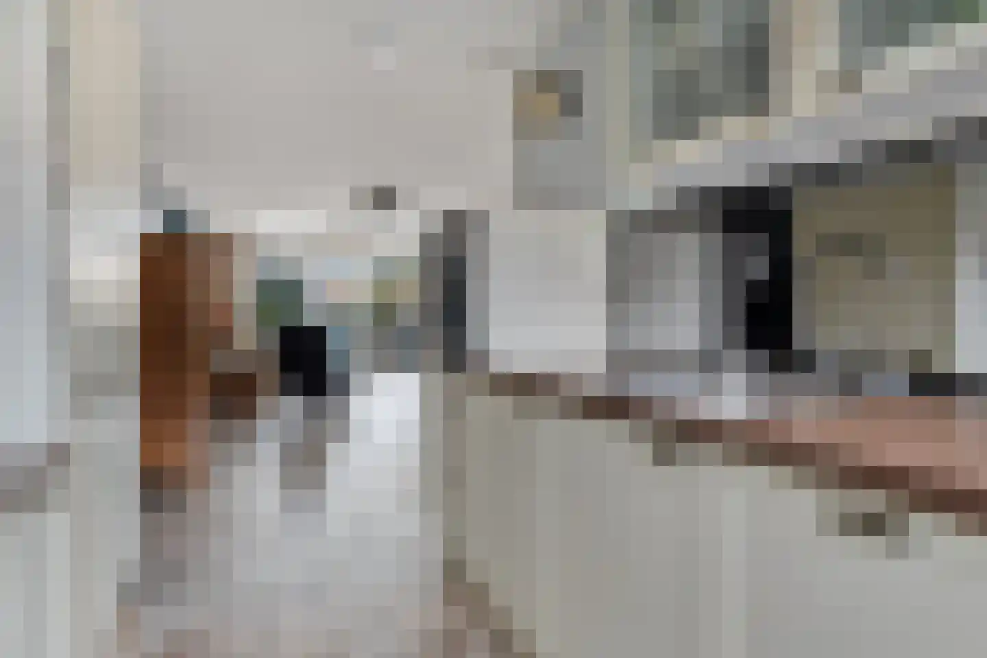Zetveld 11 Nootdorp thumbnail 18
