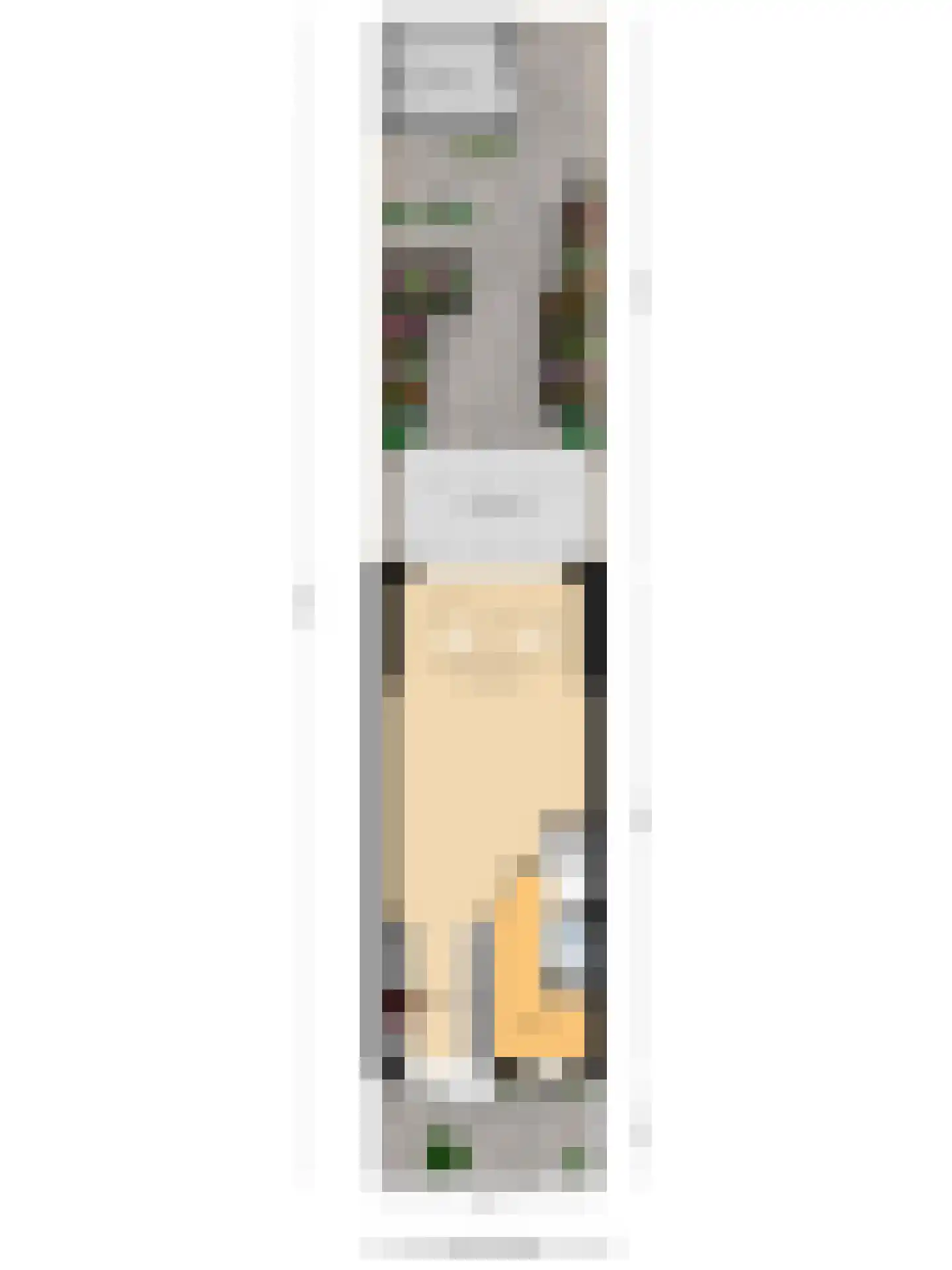 Zetveld 11 Nootdorp thumbnail 29