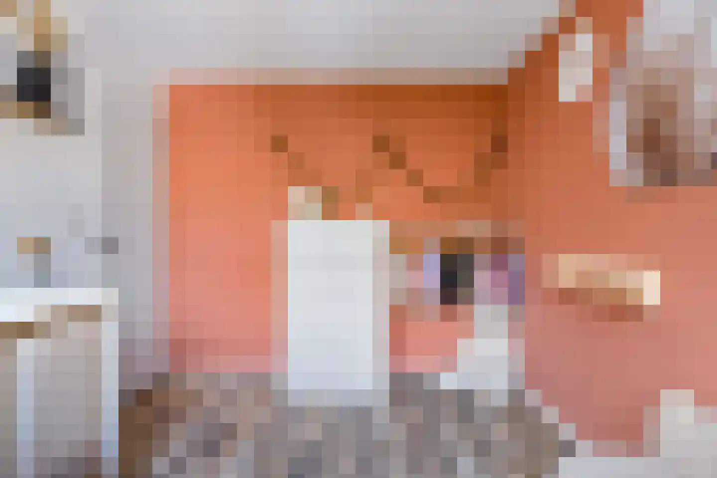 Zetveld 117 Heerenveen thumbnail 26