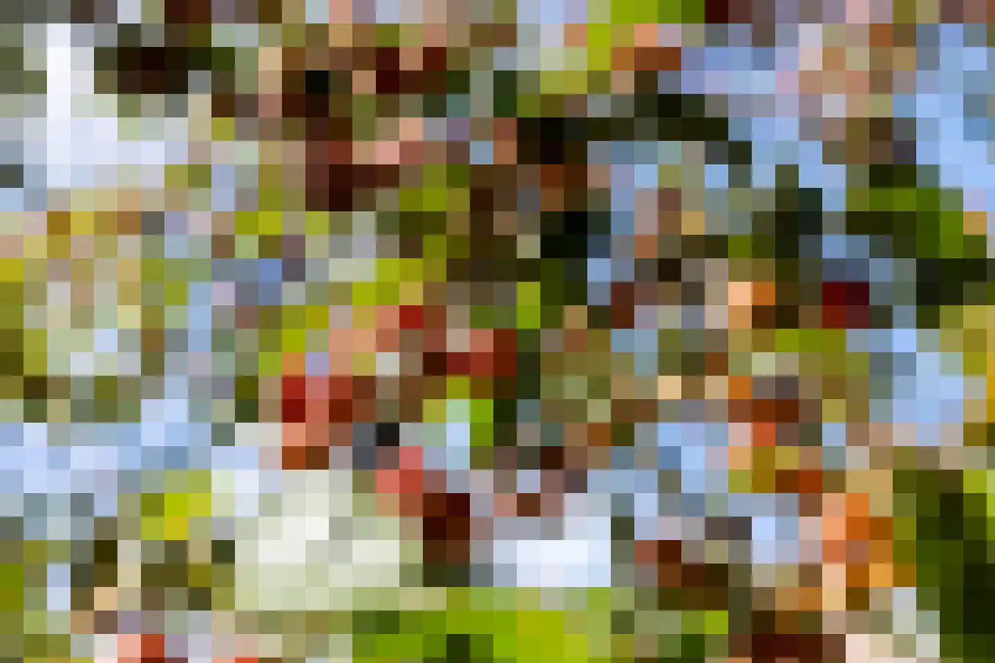 Zetveld 117 Heerenveen thumbnail 43