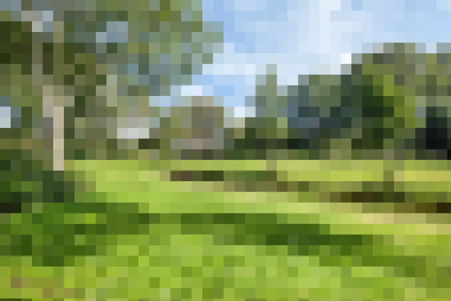 Zetveld 117 Heerenveen thumbnail 45