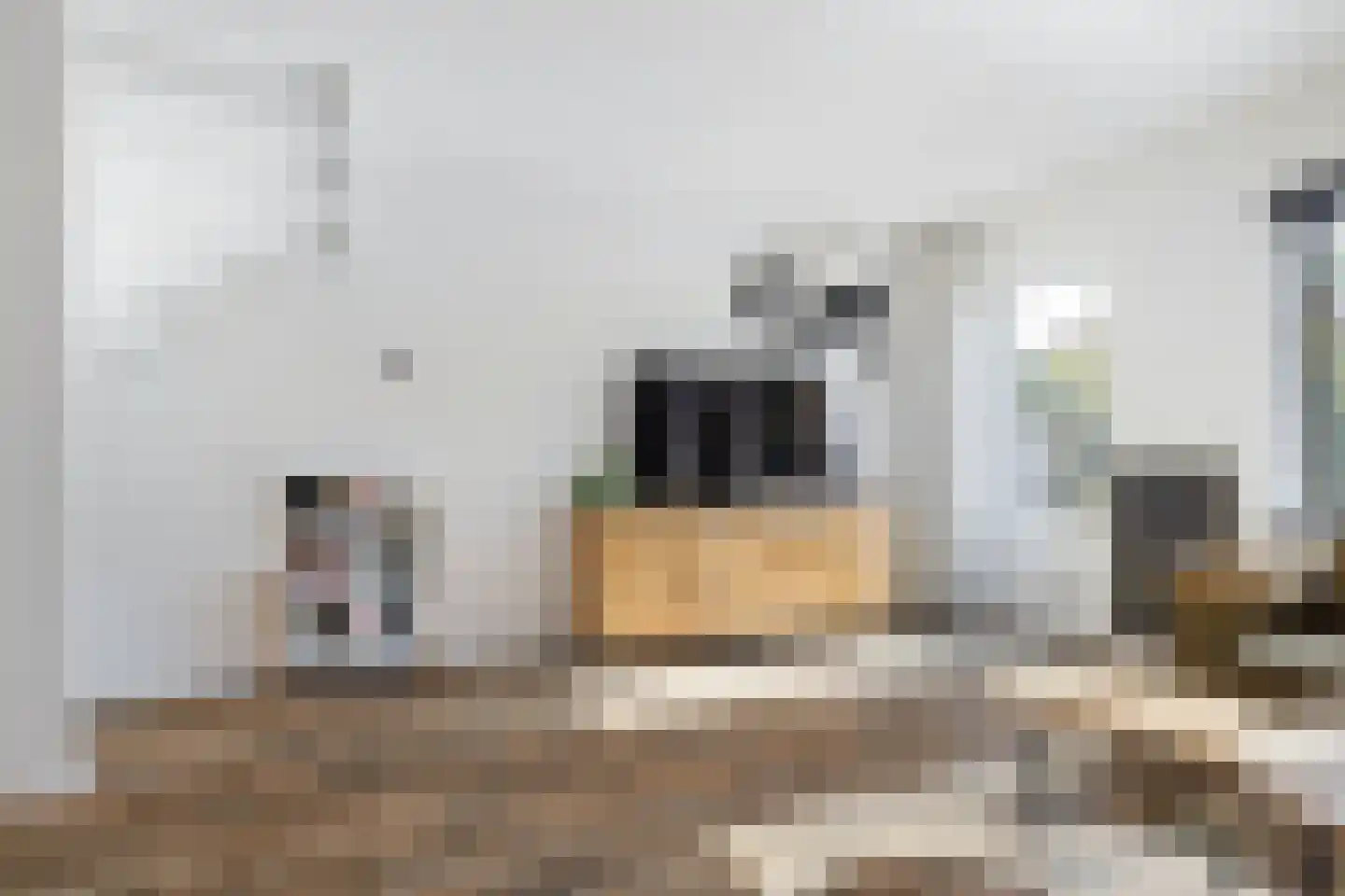Zetveld 117 Heerenveen thumbnail 9