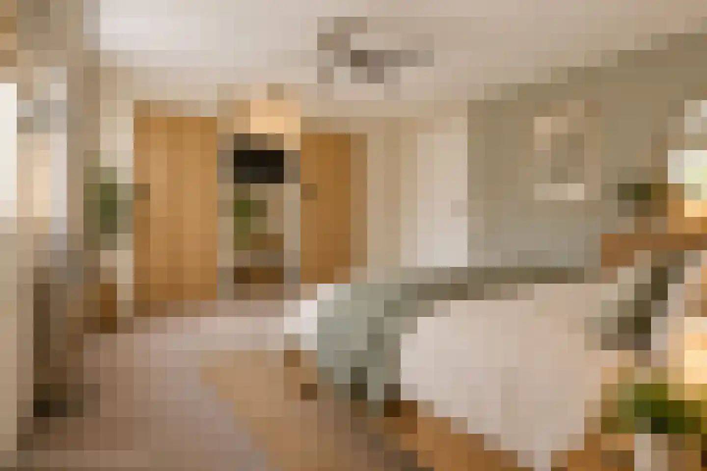 Zetveld 14 De Wilp thumbnail 21