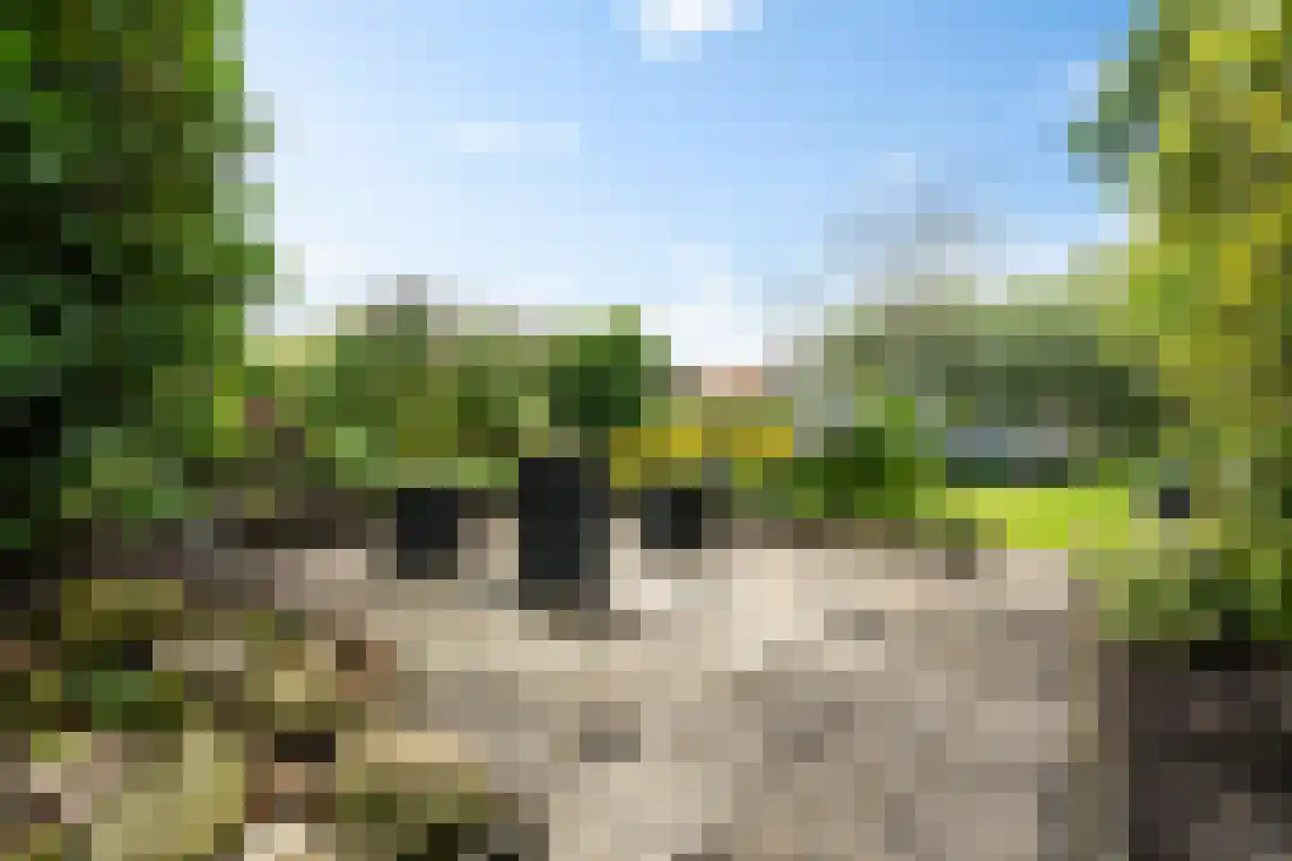Zetveld 14 De Wilp thumbnail 23