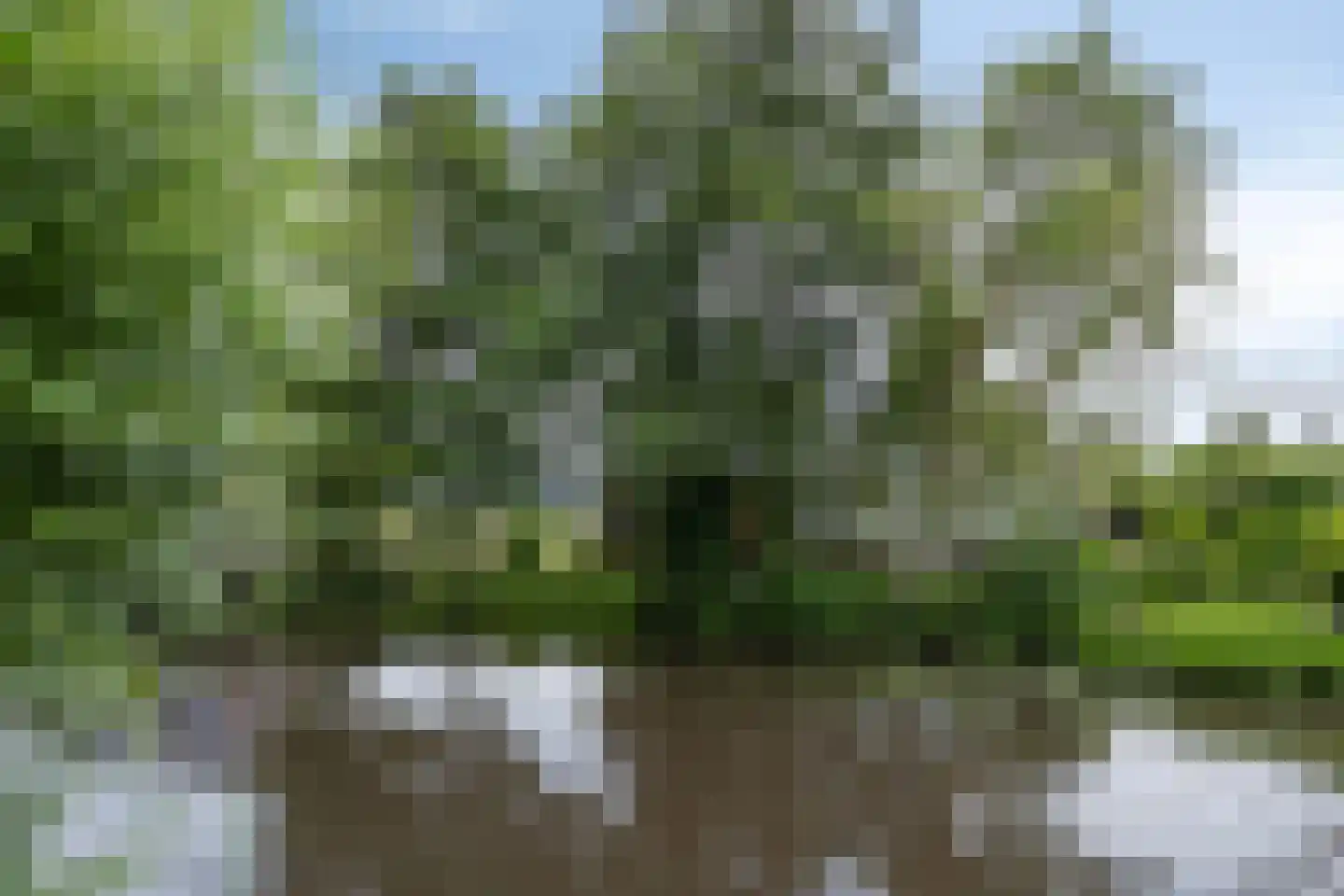 Zetveld 14 De Wilp thumbnail 24