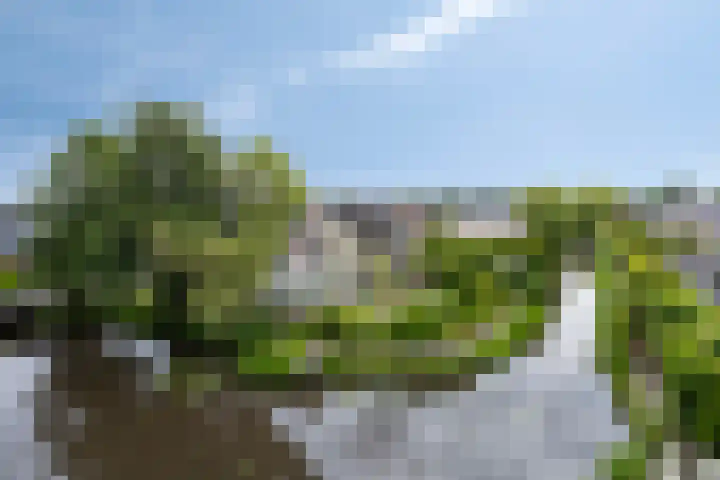 Zetveld 14 De Wilp thumbnail 25