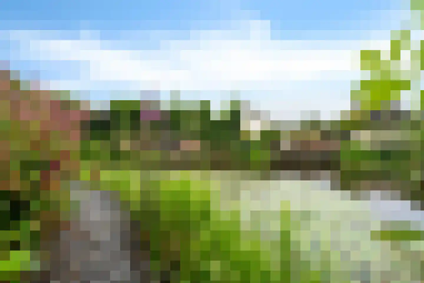 Zetveld 14 De Wilp thumbnail 27