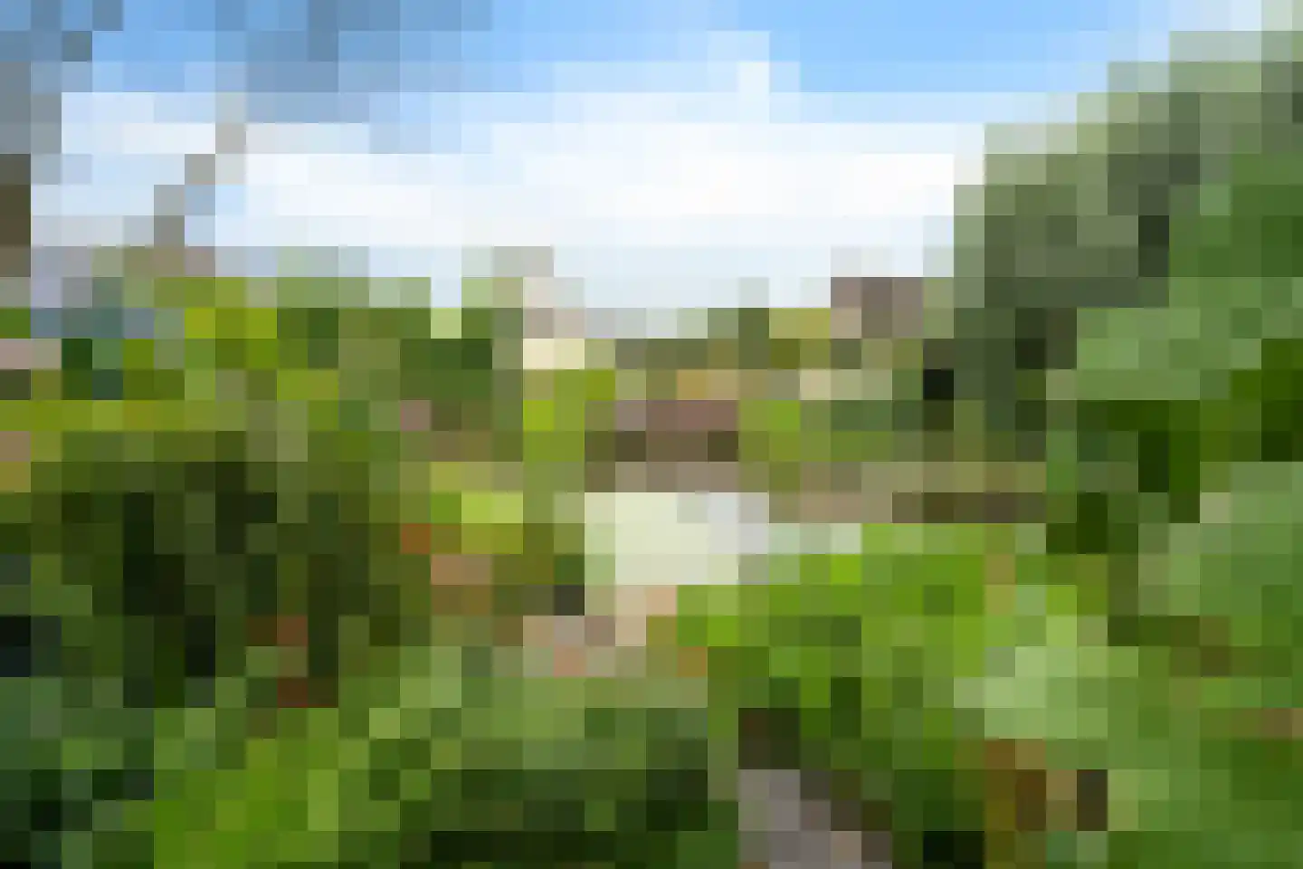 Zetveld 14 De Wilp thumbnail 29