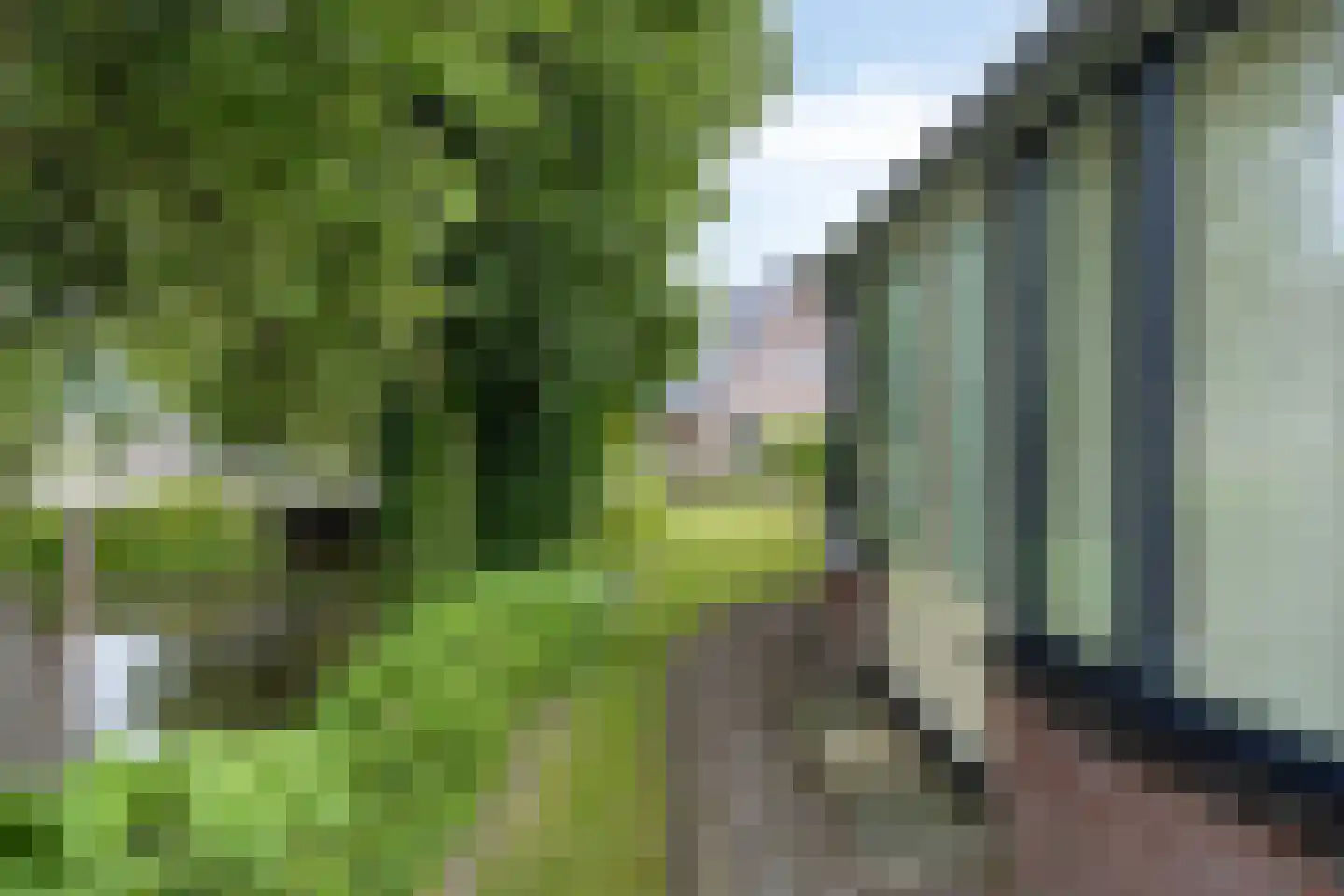 Zetveld 14 De Wilp thumbnail 29