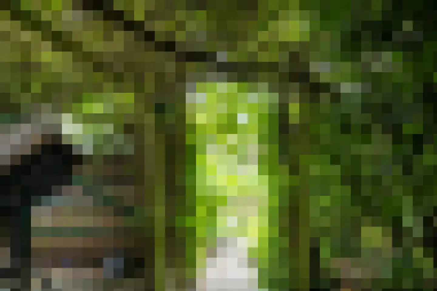 Zetveld 14 De Wilp thumbnail 30