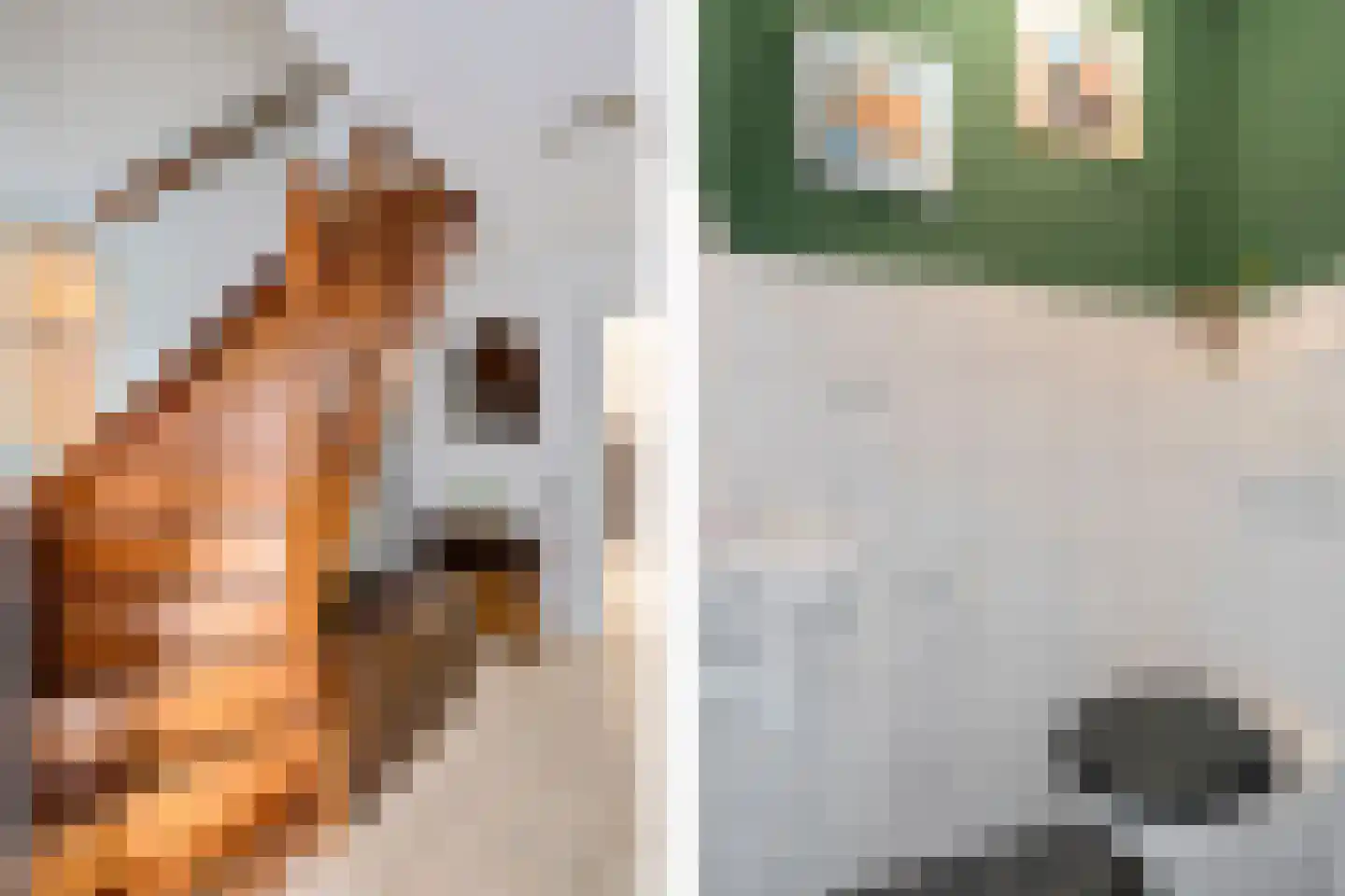 Zetveld 14 De Wilp thumbnail 7