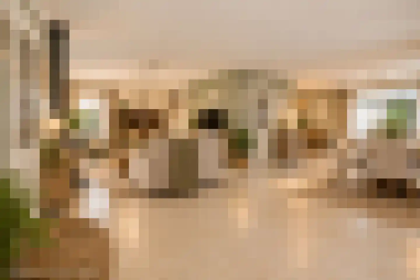 Zetveld 14 De Wilp thumbnail 8