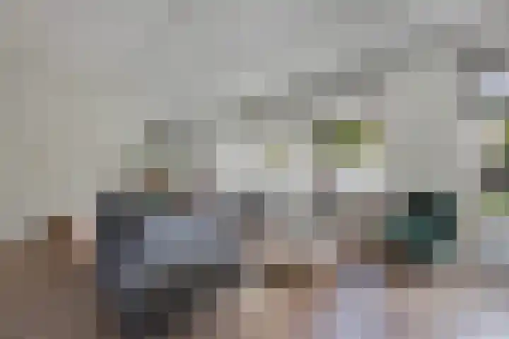Zetveld 143 Heerenveen thumbnail 10