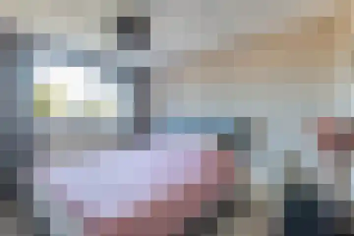 Zetveld 143 Heerenveen thumbnail 18