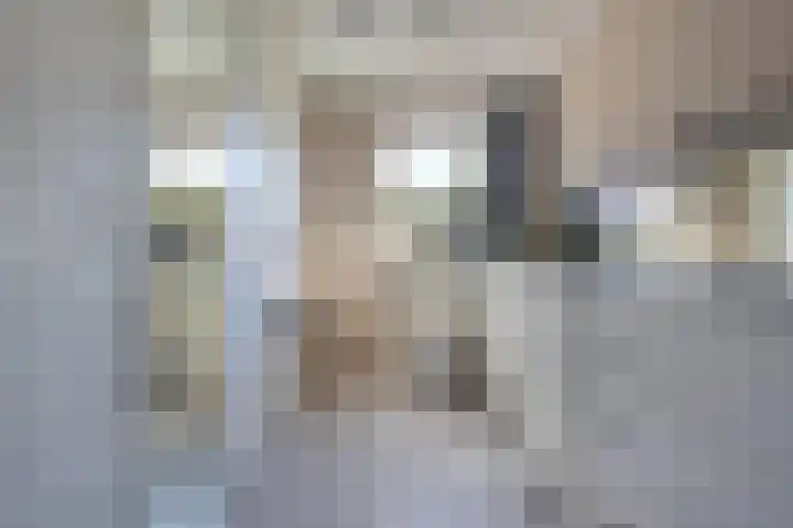 Zetveld 143 Heerenveen thumbnail 20
