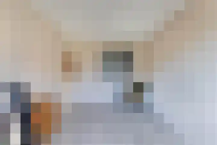 Zetveld 143 Heerenveen thumbnail 23