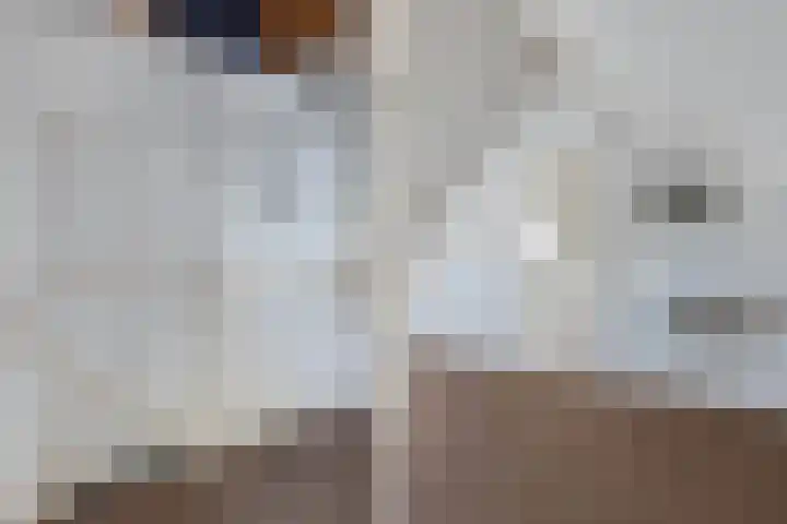 Zetveld 143 Heerenveen thumbnail 26