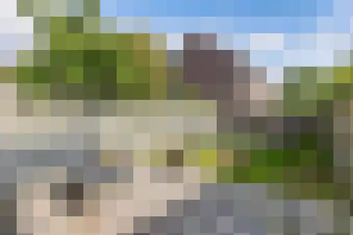 Zetveld 143 Heerenveen thumbnail 28